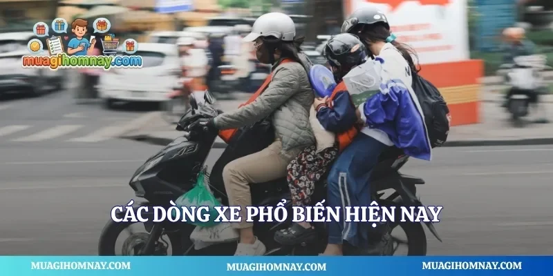 Các dòng xe phổ biến hiện nay