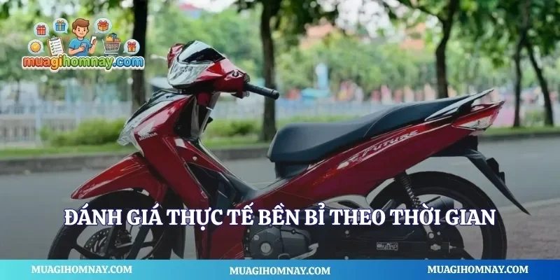 Đánh giá thực tế bền bỉ theo thời gian
