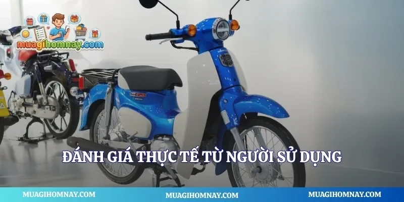 Đánh giá thực tế từ người sử dụng