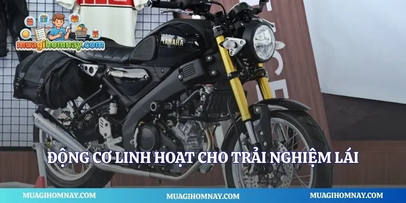 Động cơ linh hoạt cho trải nghiệm lái