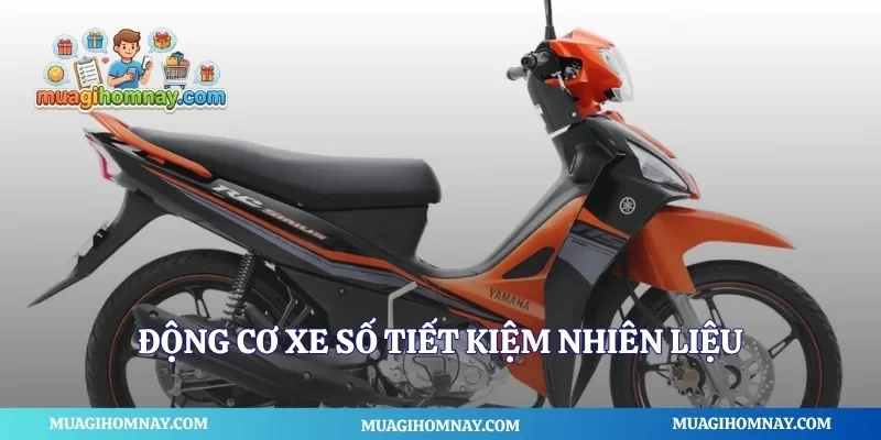 Động cơ xe số tiết kiệm nhiên liệu