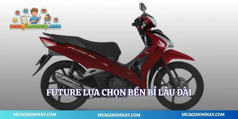 Future lựa chọn bền bỉ lâu dài