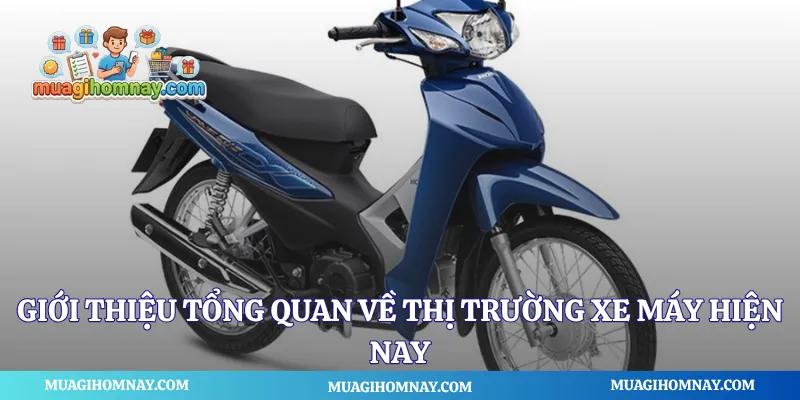Giới thiệu tổng quan về thị trường xe máy hiện nay