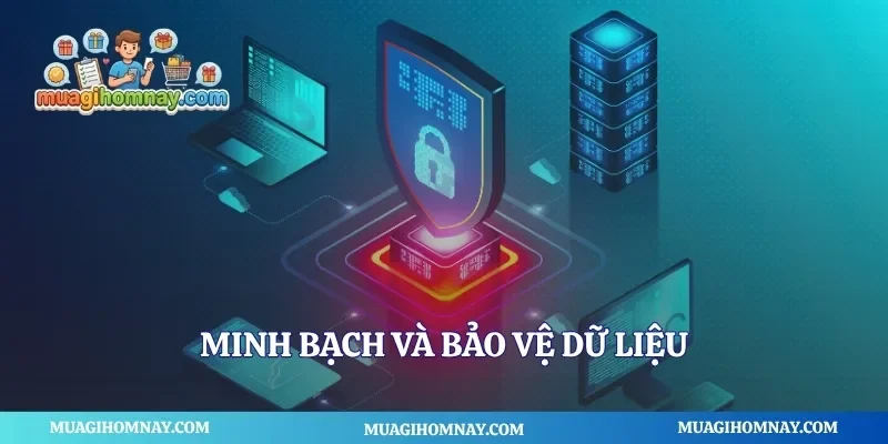 Minh bạch và bảo vệ dữ liệu