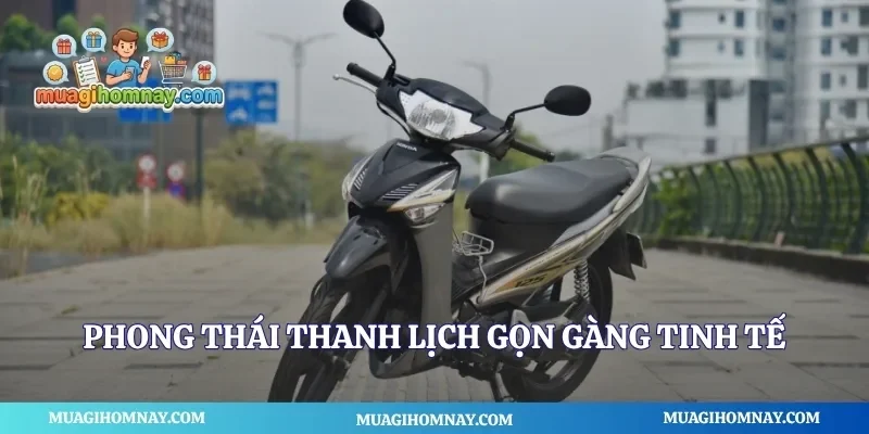 Phong thái thanh lịch gọn gàng tinh tế