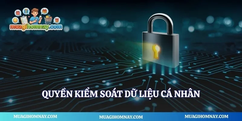Quyền kiểm soát dữ liệu cá nhân