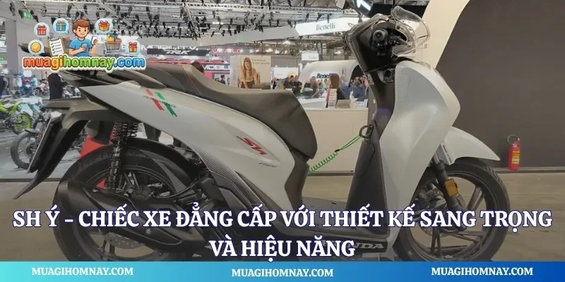 SH Ý