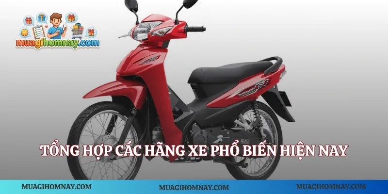 Tổng hợp các hãng xe phổ biến hiện nay