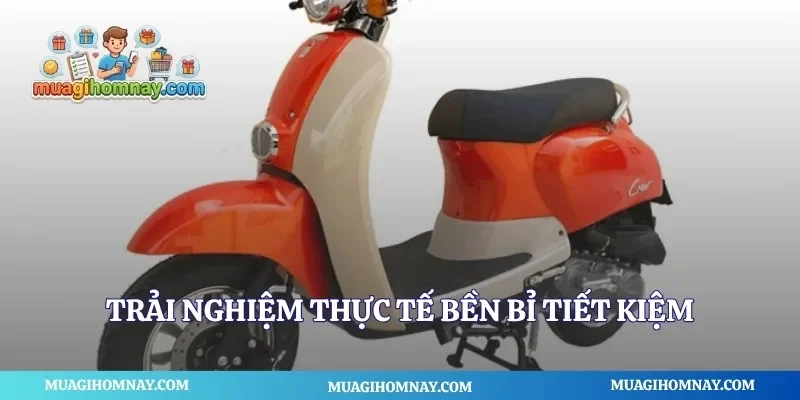 Trải nghiệm thực tế bền bỉ tiết kiệm