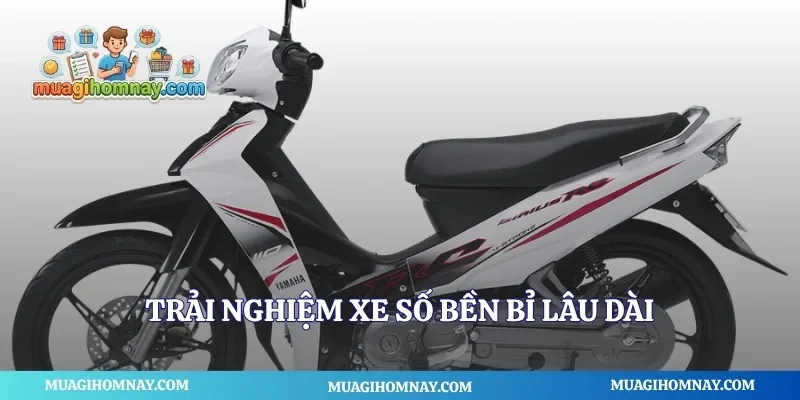 Trải nghiệm xe số bền bỉ lâu dài
