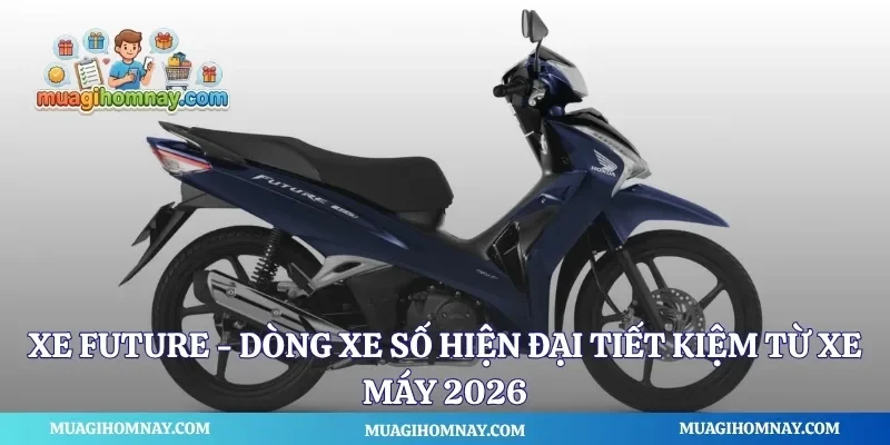 Xe Future