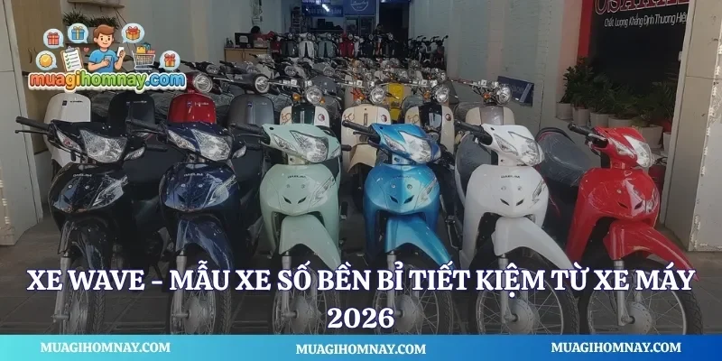 Xe Wave
