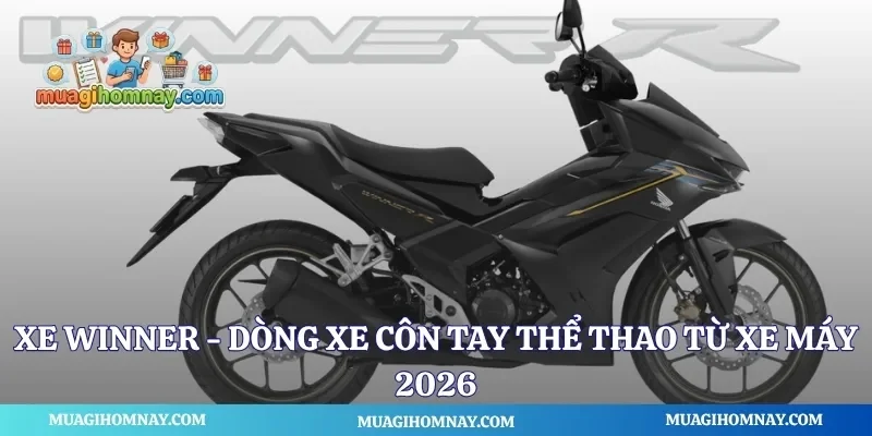 Xe Winner