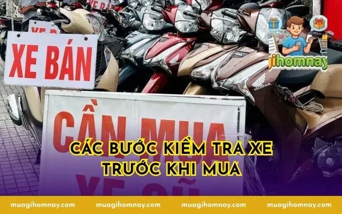 Các Bước Kiểm Tra Xe Trước Khi Mua