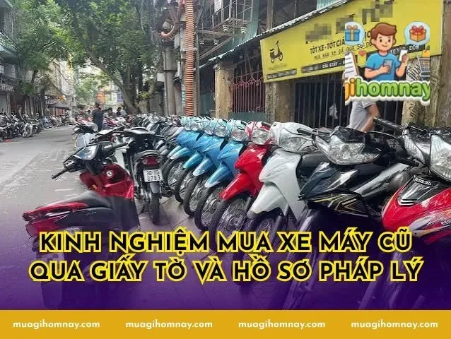 Kinh Nghiệm Mua Xe Máy Cũ Qua Giấy Tờ Và Hồ Sơ Pháp Lý